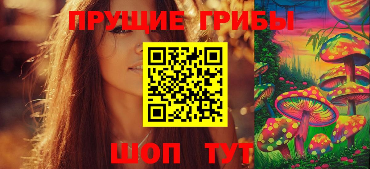 что такое   Псилоцибиновые грибы прущие грибы  Вход с VPN  Зерноград 