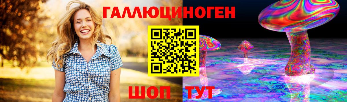ГАШ Зерноград