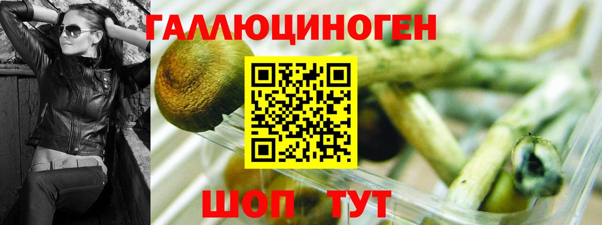 Псилоцибиновые грибы Psilocybe Зерноград